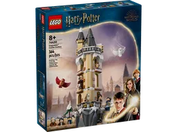 Hogwarts Castle Owlery