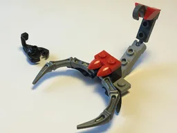 Scorpion
