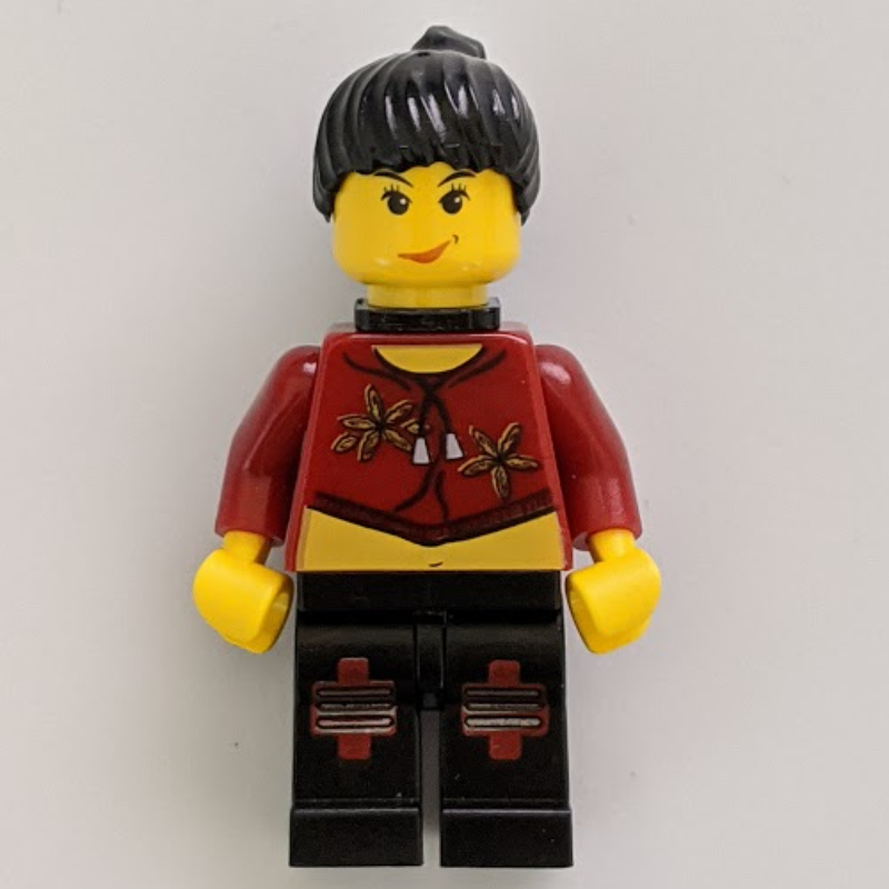 Lego Sky Lane with Neck Bracket