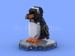 Gentoo Penguin