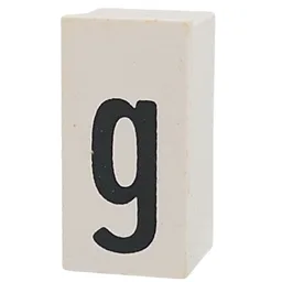Tile Special 1 x 2 x 5/6 with Stud Hole in End with 'g' Print