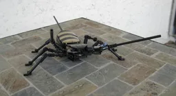 Vinegaroon (Uropygi Order)