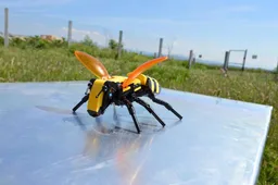 Honey bee