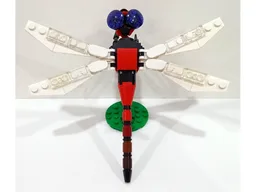 Insect Collection