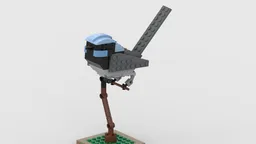 Superb Fairy-wren aka "Blue Wren"