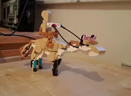 Horse & its rider