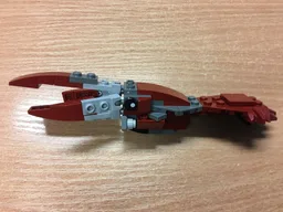 11951 - Slim squid