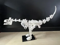 Carnotaurus Fossil