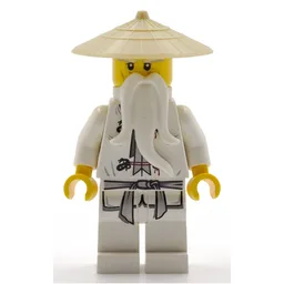 Master Wu