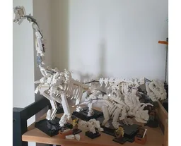 Brachiosaurus Display Skeleton