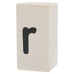 Tile Special 1 x 2 x 5/6 with Stud Hole in End with 'r' Print