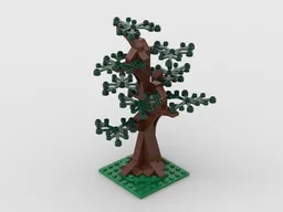 Dark Green Forest Tree