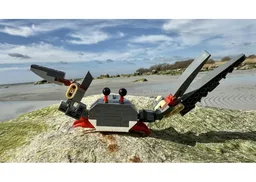 Crab 31381