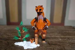 Grizzly Bear