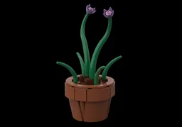 Chives