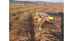 Small Square Baler - LS