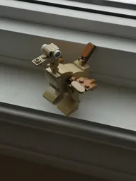 30666 Ostrich