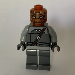 Nikto Guard