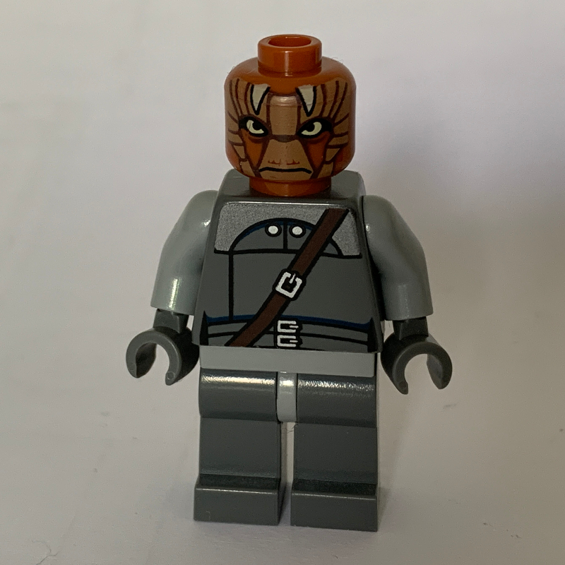 Lego Nikto Guard