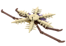 Mimetaster hexagonalis