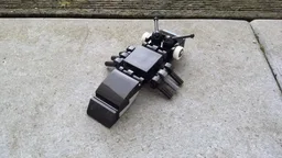 Ant