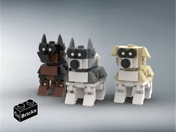Small dogs