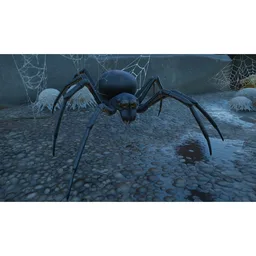 (G) - The Black Widow