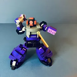 SF-013 DOM