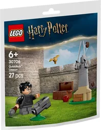 Quidditch Lesson paper bag / polybag