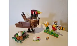 Pheasant