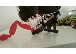 Dragon head