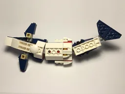 31088 Orca (Orcinus Orca)