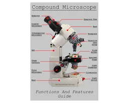 Compound Microscope