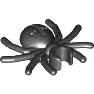 Insect, Spider / Black