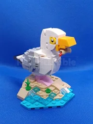 Seagull