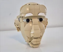 Old man face