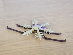 Mimetaster hexagonalis