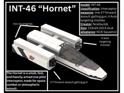 INT-46 "Hornet"