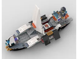 Interstellar Pirate Ships