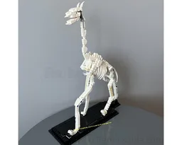 21320 Giraffe skeleton