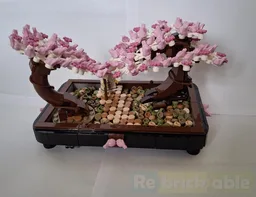 Bonsai Park