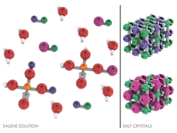 Saline Molecules and Salt Crystals