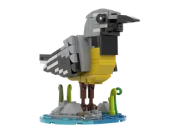 Grey Wagtail