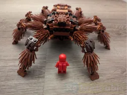 RSA Tarantula