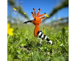 Hoopoe life size