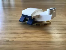 31088 turtle