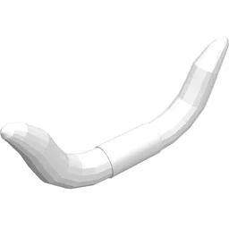 Animal Body Part, Horn, Cattle / White