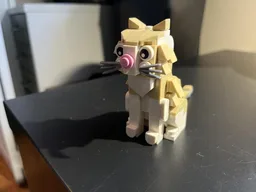 Kitty Cat
