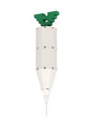 Radish