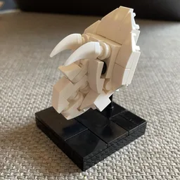 Triceratops Skull exhibition